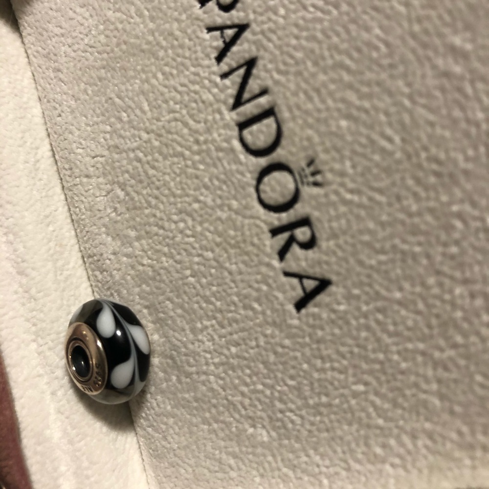 Pandora charm